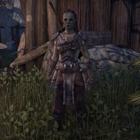 ON-npc-Orc (NPC).jpg