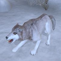 BM-creature-Snow Wolf.jpg