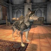 OB-creature-Rohssan's Dog.jpg