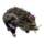 ON-icon-furnishing-Target King Boar, Robust.png