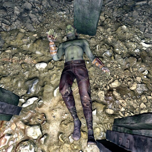 File:OBR-npc-Dead Captive.jpg