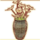 OB-icon-dish-Planter.png
