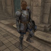 OBR-npc-Anvil Fighters Guild Porter.jpg