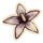 OBR-icon-ingredient-Nightshade.png