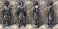 ON-item-armor-Silver Dawn Medium Male.jpg