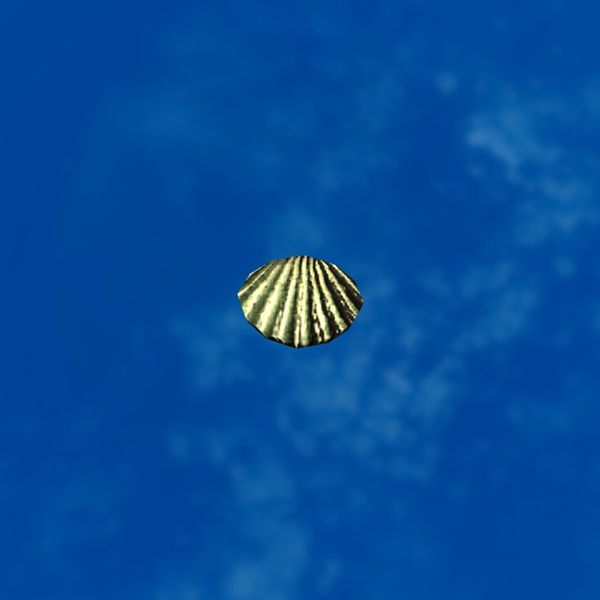 File:SRMOD-LOTD-tide-scallop shell-green and white.jpg