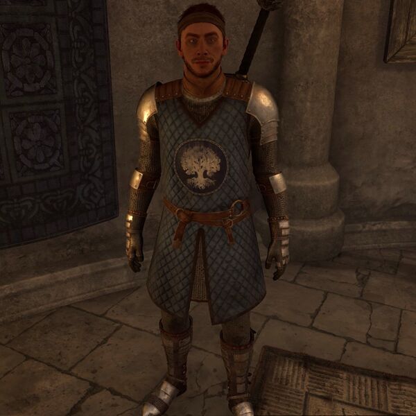 File:OBR-npc-Bittneld the Curse-Bringer.jpg