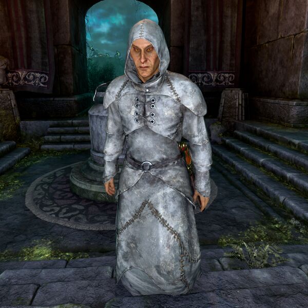 File:OBR-npc-Zealot Prosleytizer High Elf Male.jpg
