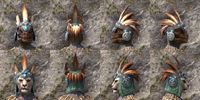 ON-item-armor-Elder Argonian Medium Beast Races.jpg