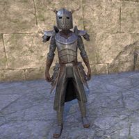 Nedic Duraki Armor (male)