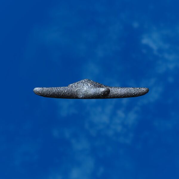 File:SRMOD-LOTD-tide-starfish-blue.jpg