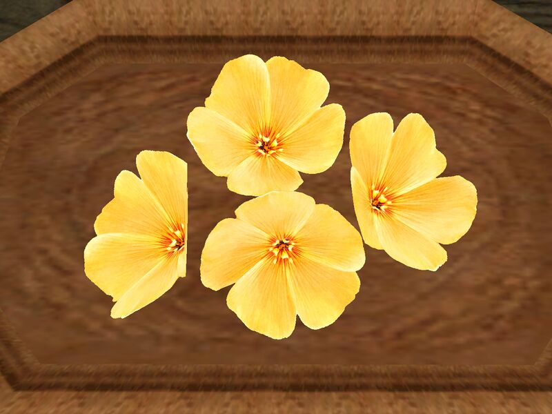 File:TD3-ing-Yellow Flax Flowers.jpg