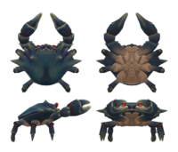 LG-model-Mudcrab Anklesnapper 02.png