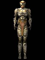 MW-item-Chitin Armor.jpg