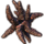 ON-icon-furnishing-Apocrypha Coral, Spiky.png