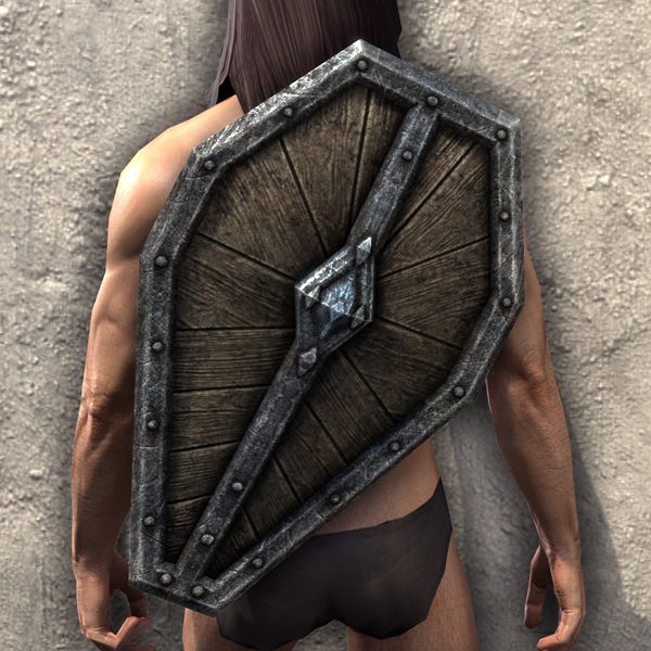 File:ON-item-armor-Imperial Shield 3.jpg
