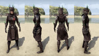 ON-item-armor-New Moon Priest Heavy (Female).jpg