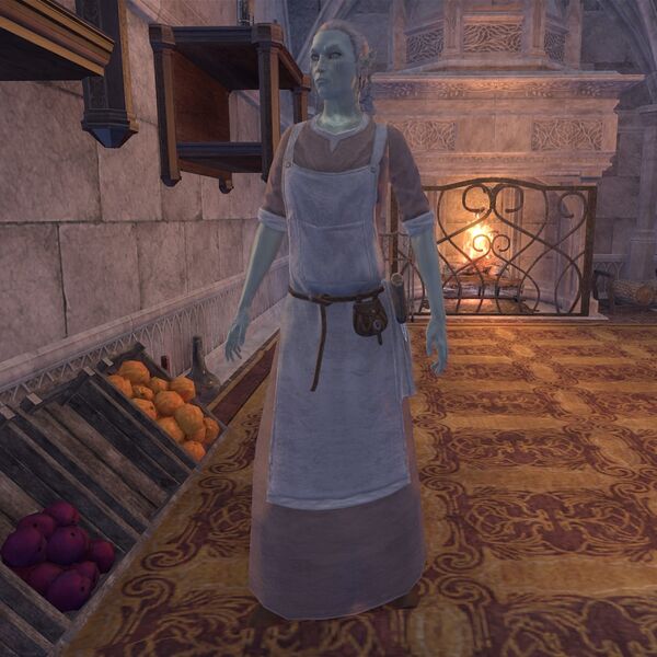 File:ON-npc-Nielolin.jpg