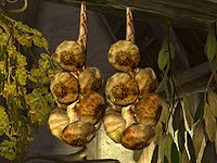 SR-ingredient-Garlic.jpg