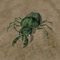 TR3-creature-Green Beetle.jpg