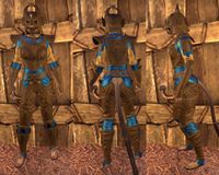 ON-item-armor-Pellitine Heavy.jpg