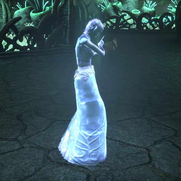 File:ON-npc-Faerifin.jpg
