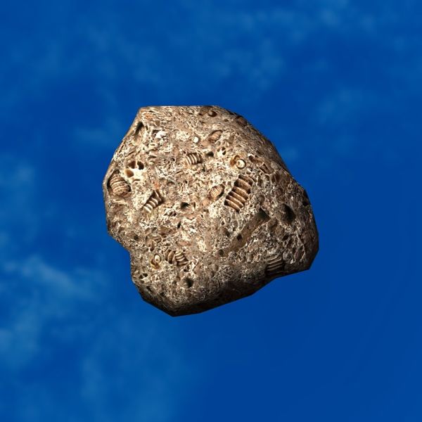 File:SRMOD-LOTD-fossil-t1-fossil rock.jpg