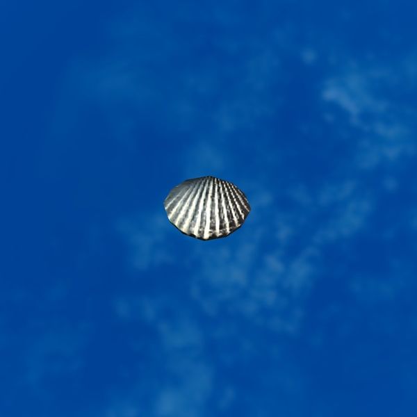 File:SRMOD-LOTD-tide-scallop shell-blue.jpg