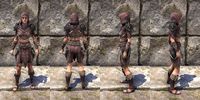 ON-item-armor-The Recollection Light Jerkin Female.jpg