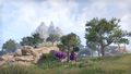 Thumbnail for version as of 06:43, 1 June 2025
