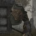 Thumbnail for version as of 18:27, 3 February 2023