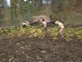 Thumbnail for version as of 21:43, 11 May 2025