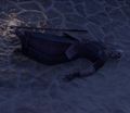 Thumbnail for version as of 05:33, 22 April 2025