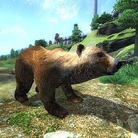 OB-creature-Brown Bear.jpg
