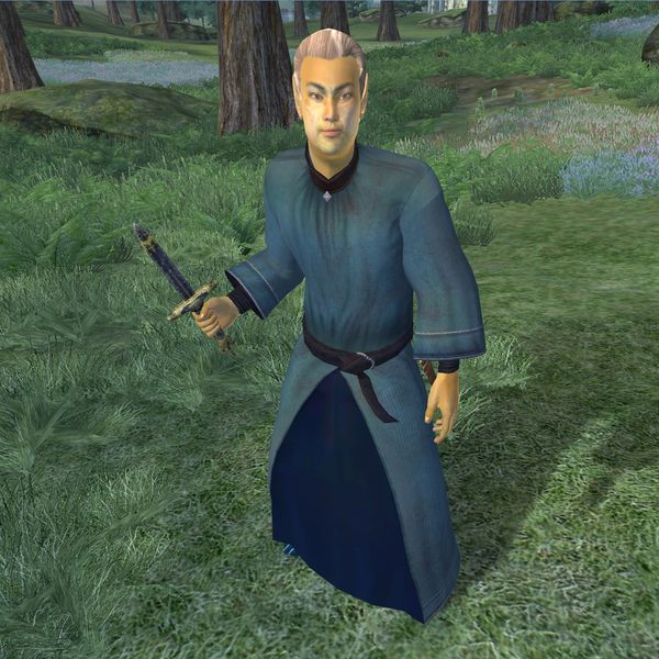 File:OB-npc-Conjurer (High Elf male).jpg