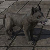 ON-furnishing-Doom Wolf Pup.jpg