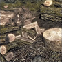 SRMOD-icon-Faster Wood Chopping.png
