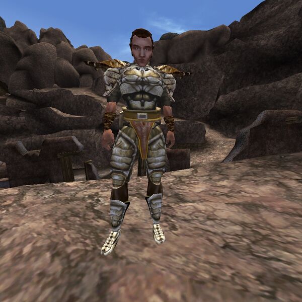 File:TR3-npc-Erarius Verenius.jpg