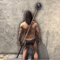ON-item-weapon-Imperial Staff 1.jpg