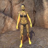 ON-skin-Blaze of Akatosh (female).jpg