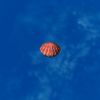 SRMOD-LOTD-tide-scallop shell-red.jpg