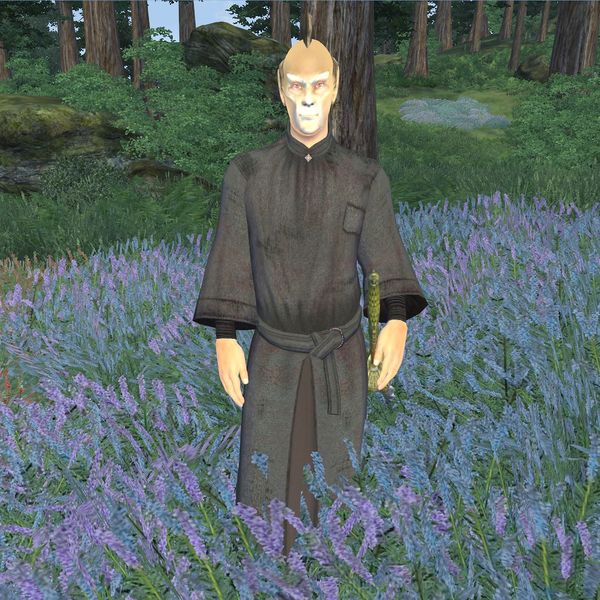 File:OB-npc-Vampire Witchhunter Male.jpg