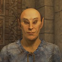 OBR-npc-Faelian.jpg