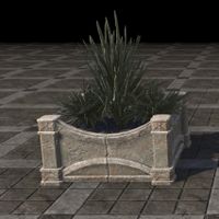 ON-furnishing-Fargrave Container Plants, Small.jpg