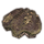 ON-icon-furnishing-Giant Clam, Sealed.png