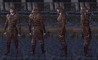ON-item-armor-Akaviri Medium-Male 06.jpg