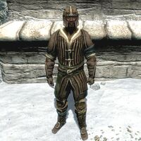 BS5C-item-Leather Armor Male.jpg