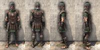 ON-item-armor-Imperial Medium 1 Male.jpg