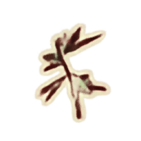 OBR-icon-ingredient-Motherwort Sprig.png