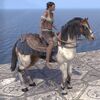 ON-mount-Arenthian Skewbald Horse.jpg